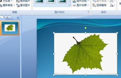 ppt2007如何两步清除图片背景