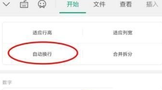 《WPS Office》表格换行方法