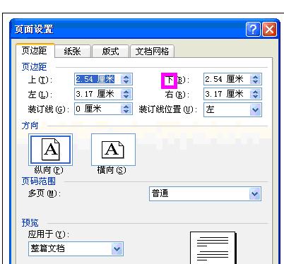 Word中2003版进行设置页面设置的操作方法