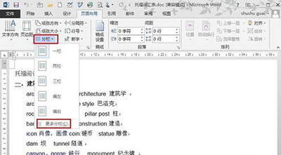 word怎么进行分栏排版
