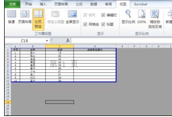 设置分页预览