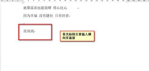 word在纵向页中间插入横向页的步骤