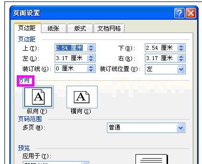 Word中2003版进行设置页面设置的操作方法