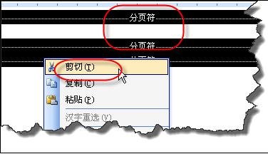 去掉word分节符的两种方法_word分节符怎么删除