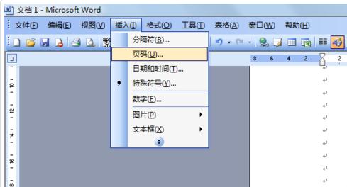 word2003文档如何设置左右页码