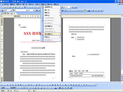 WPS文字将公文默认保存成DOC格式教程