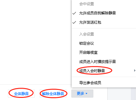 腾讯会议电脑版的禁言功能都有哪些神奇的设定