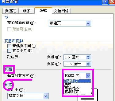Word中2003版进行设置页面设置的操作方法