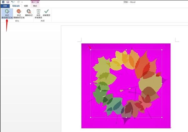 word怎样去除插入图片的背景色