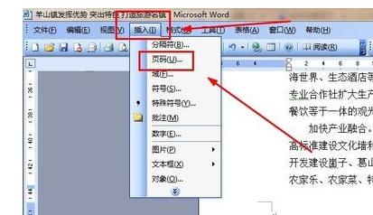 word2003文档第二页显示为第一页怎么设置