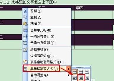 WORD怎么设置表格里的文字上下居中