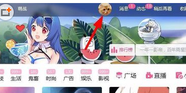 bilibili将鼠标移到头像上