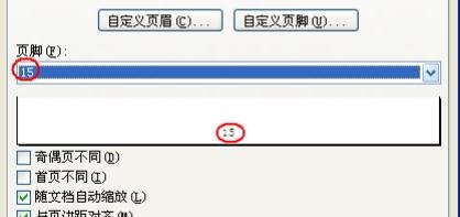 excel设置起始页码的教程