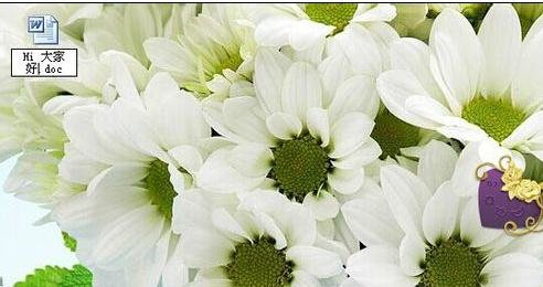 word2003怎么添加背景图片