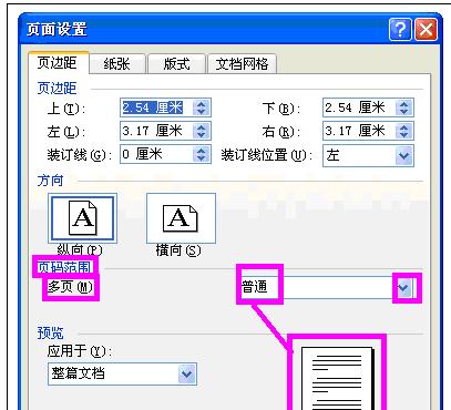 Word中2003版进行设置页面设置的操作方法