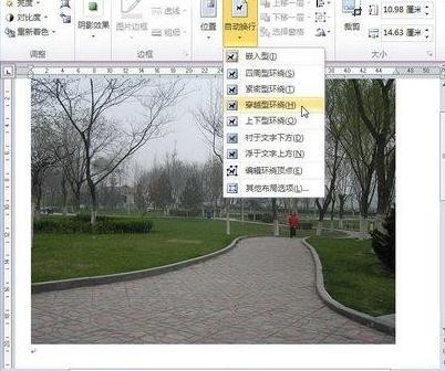 word怎么设置图片格式布局