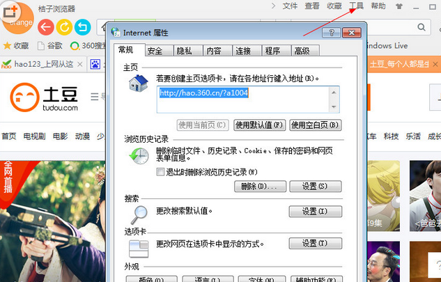 桔子浏览器-Internet选项