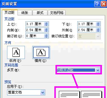 Word中2003版进行设置页面设置的操作方法