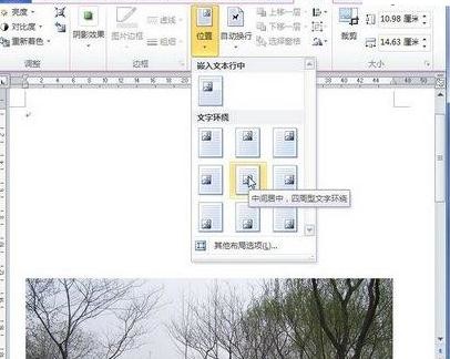word怎么设置图片格式布局