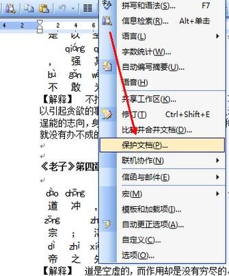 怎么设置word2003文档保护