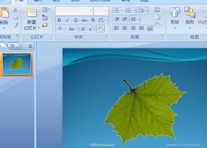 ppt2007如何两步清除图片背景