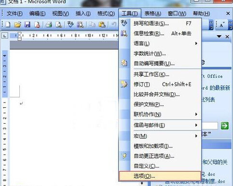 Word2003打开文档CPU占用资源大的解决方法