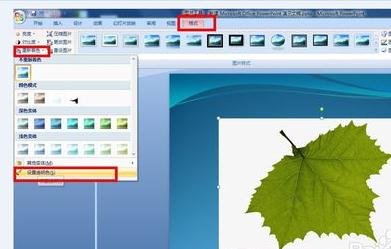ppt2007如何两步清除图片背景
