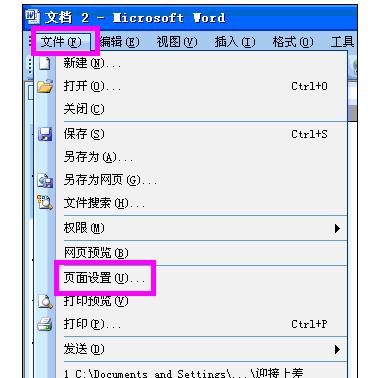 Word中2003版进行设置页面设置的操作方法