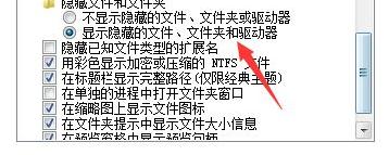 勾选显示隐藏文件和文件夹选项