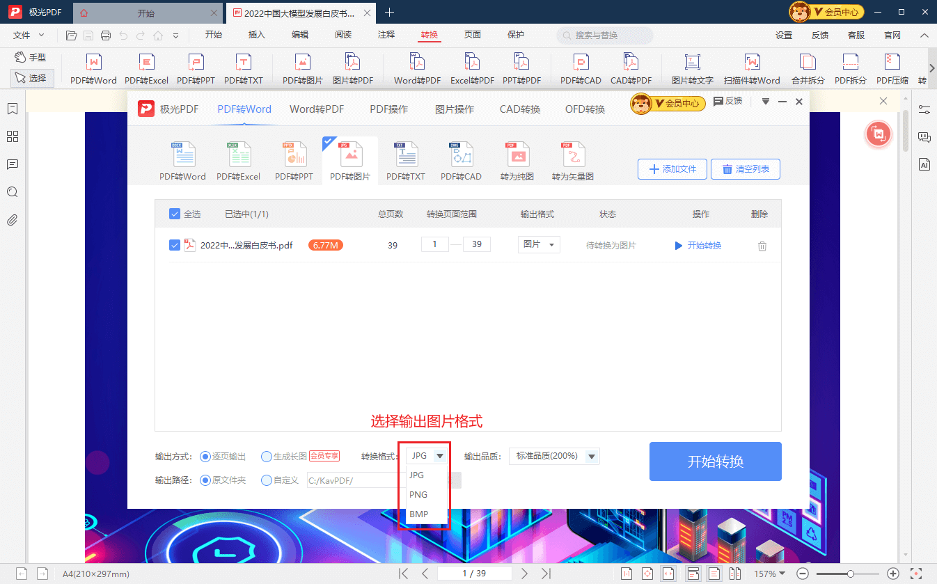 PDF转图片格式